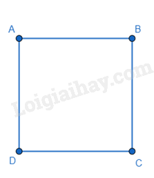 Lý thuyết Hình vuông (Cánh diều) Toán 8 (ảnh 1)