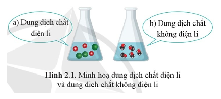 Giáo án Hóa học 11 (Cánh diều 2024) Bài 2: Sự điện li trong dung dịch nước. Thuyết Bronsted - lowry về Acid - base (ảnh 1)