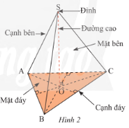 Lý thuyết Hình chóp tam giác đều (Cánh diều) Toán 8 (ảnh 1)