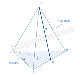 Lý thuyết Hình chóp tam giác đều (Cánh diều) Toán 8 (ảnh 2)