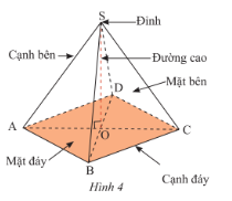 Lý thuyết Hình chóp tứ giác đều (Cánh diều) Toán 8 (ảnh 1)