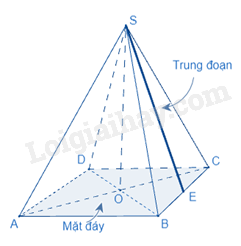 Lý thuyết Hình chóp tứ giác đều (Cánh diều) Toán 8 (ảnh 2)