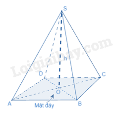 Lý thuyết Hình chóp tứ giác đều (Cánh diều) Toán 8 (ảnh 3)