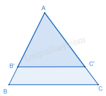 Lý thuyết Định lí Thalès trong tam giác (Kết nối tri thức) Toán 8 (ảnh 2)