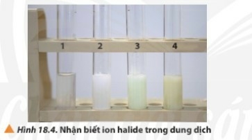 15 câu trắc nghiệm Hydrogen halide và một số phản ứng của ion halide (có đáp án 2023) CHỌN LỌC (ảnh 5)
