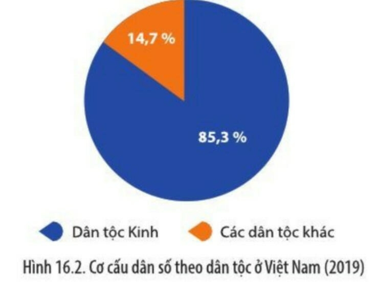 20 câu trắc nghiệm Lịch sử 10 Cánh diều Bài 16 (có đáp án 2023): Các dân tộc trên đất nước Việt Nam (ảnh 1)