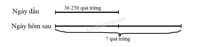 Toán lớp 3 trang 63, 64 Luyện tập | Chân trời sáng tạo (ảnh 6)