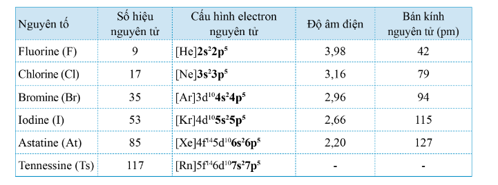 15 câu trắc nghiệm Nguyên tố và đơn chất halogen Cánh diều (có đáp án 2023) CHỌN LỌC (ảnh 2)