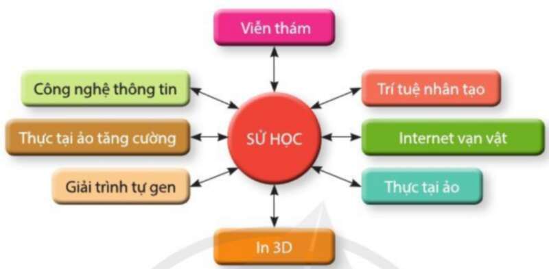 Câu hỏi trang 24 Lịch sử 10 Cánh diều (ảnh 5)