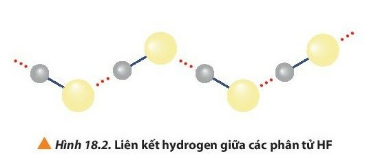 15 câu trắc nghiệm Hydrogen halide và một số phản ứng của ion halide (có đáp án 2023) CHỌN LỌC (ảnh 3)