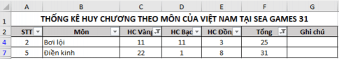 Cho bảng dữ liệu thống kê huy chương một số môn của đoàn thể thao Việt Nam tại SEA Games 31 (ảnh 5)