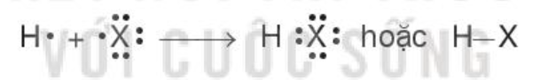 15 câu trắc nghiệm Hydrogen halide. Muối halide Kết nối tri thức (có đáp án 2023) CHỌN LỌC (ảnh 1)