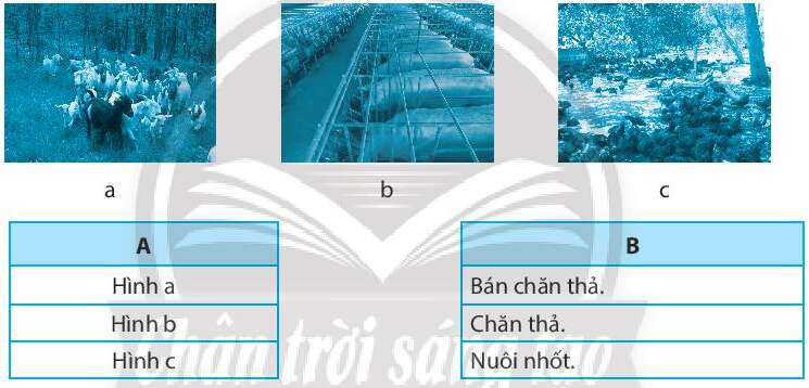 Sách bài tập Công nghệ 7 Bài 9: Một số phương thức chăn nuôi ở Việt Nam Công nghệ | Chân trời sáng tạo (ảnh 1)