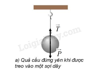 Câu hỏi trang 61 Vật lí 10 Kết nối tri thức (ảnh 1)