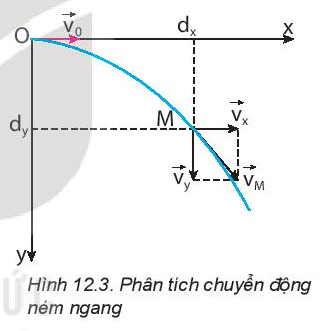 Vật Lí 10 Bài 12: Chuyển động ném - Kết nối tri thức (ảnh 5)