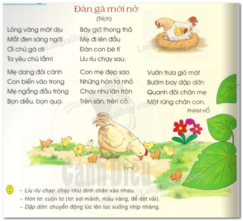 Đàn gà mới nở Tiếng Việt lớp 2 Tập 2 – Cánh diều (ảnh 2)