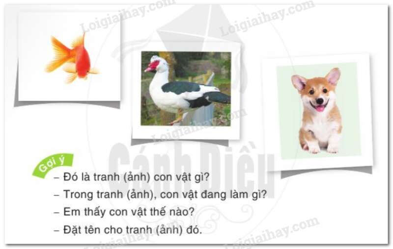 Quan sát tranh ảnh vật nuôi Tiếng Việt lớp 2 Tập 2 – Cánh diều (ảnh 1)