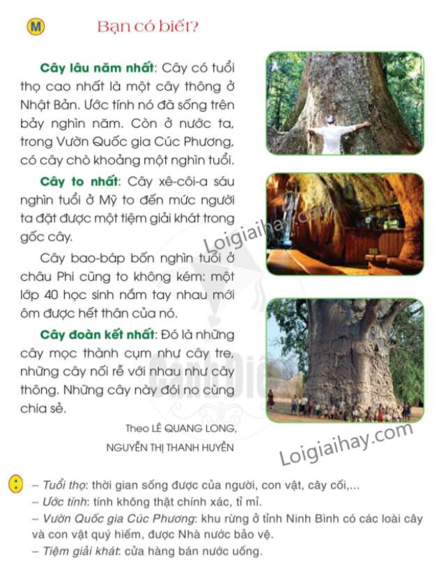 Đọc sách báo về cây cối Tiếng Việt lớp 2 Tập 2 – Cánh diều (ảnh 2)