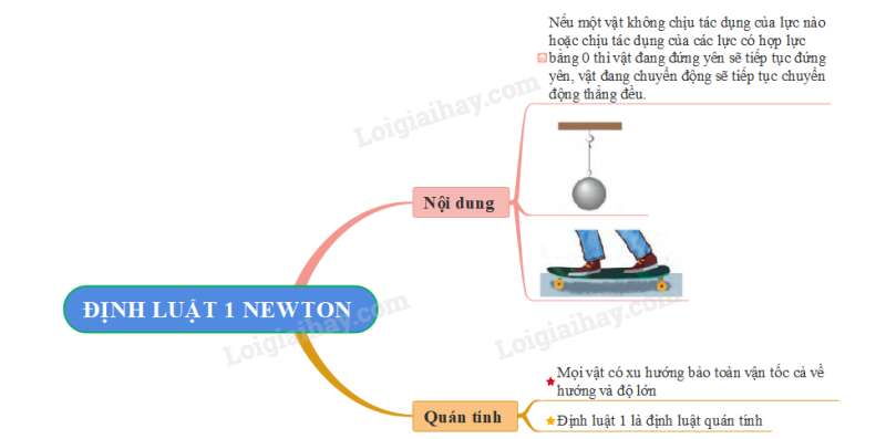 Vật Lí 10 Bài 14: Định luật 1 Newton - Kết nối tri thức (ảnh 1)