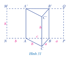 Quan sát hình lăng trụ đứng tam giác ABC.A'B'C' (Hình 31) (ảnh 1)