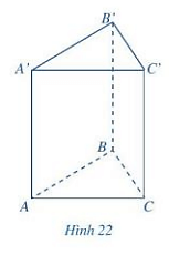 Quan sát lăng trụ đứng tam giác ở Hình 22 và đọc tên các mặt, các cạnh (ảnh 1)