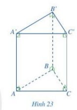Quan sát lăng trụ đứng tam giác ABC.A'B'C' ở Hình 23 và cho biết (ảnh 1)