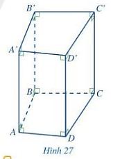 Quan sát lăng trụ đứng tam giác ABCD. A’B’C’D’ ở Hình 27 (ảnh 1)