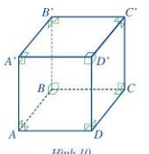 Quan sát hình lập phương ABCD.A'B'C'D' ở Hình 10 (ảnh 1)