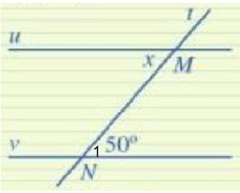 Tìm số đo x trong Hình 43, biết u // v. Đặt góc N1 như hình vẽ (ảnh 2)
