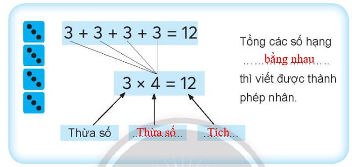 Vở bài tập Toán lớp 3 Tập 1 trang 14, 15 Ôn tập phép nhân | Chân trời sáng tạo