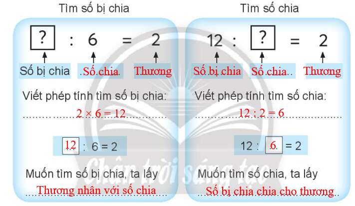 Vở bài tập Toán lớp 3 Tập 1 trang 19 Tìm số bị chia, tìm số chia - Chân trời sáng tạo