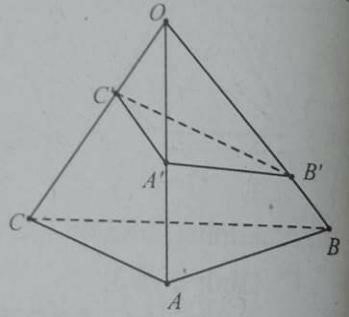 30 câu trắc nghiệm Đại cương về đường thẳng và mặt phẳng (có đáp án) chọn lọc (ảnh 10)