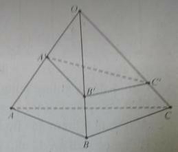 30 câu trắc nghiệm Đại cương về đường thẳng và mặt phẳng (có đáp án) chọn lọc (ảnh 3)