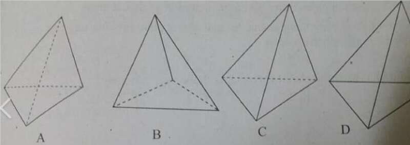 30 câu trắc nghiệm Đại cương về đường thẳng và mặt phẳng (có đáp án) chọn lọc (ảnh 4)
