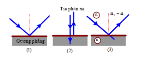 bài 25.pdf (ảnh 1)