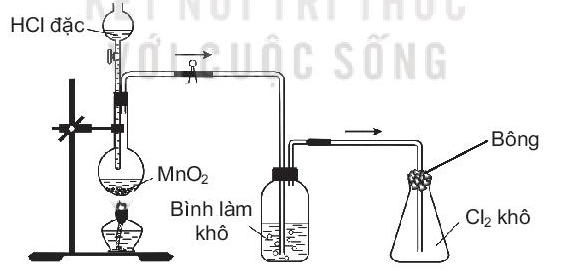 Trong phòng thí nghiệm, khí chlorine được điều chế, làm khô và thu ...