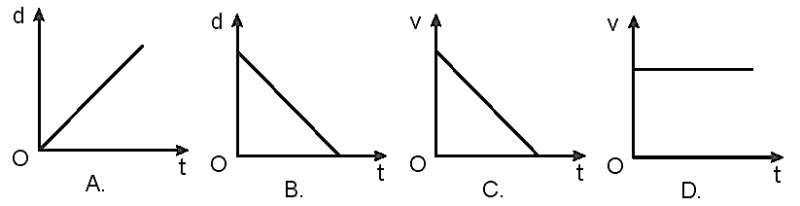 SBT Toán 7 trang 7 Tập 1 Kết nối tri thức (ảnh 1)