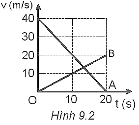  (ảnh 1)