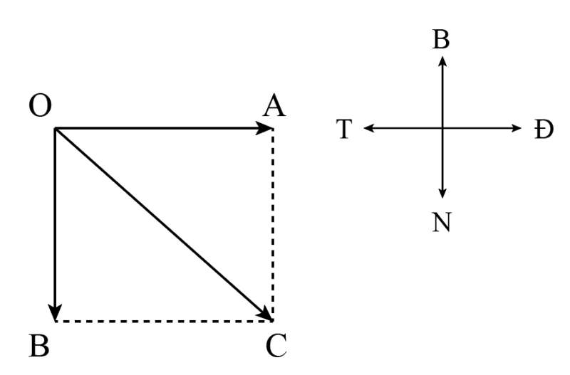 10 câu Trắc nghiệm Bài 4: Độ dịch chuyển và quãng đường đi được (Kết nối tri thức) có đáp án (ảnh 2)