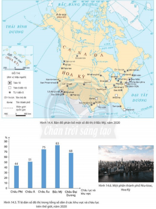 Dựa vào hình 14.4, 14.5, 14.6 và thông tin trong bài, phân tích vấn đề đô thị hóa ở Bắc Mỹ (ảnh 1)