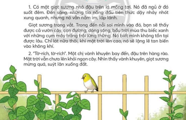 Giọt sương trang 54, 55, 56, 57 Tiếng Việt lớp 3 Tập 2 (Chân trời sáng tạo) (ảnh 1)
