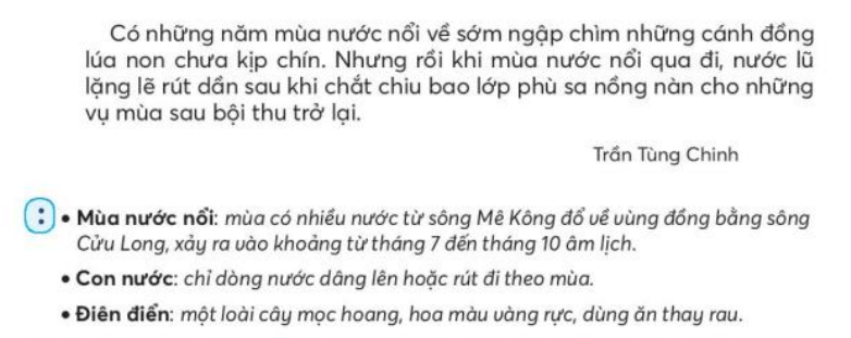 Mênh mông mùa nước trang 102, 103, 104, 105 Tiếng Việt lớp 3 Tập 2 (Chân trời sáng tạo) (ảnh 4)
