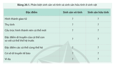 Sinh học 11 (Cánh diều) Bài 20: Khái quát về sinh sản ở sinh vật (ảnh 3)