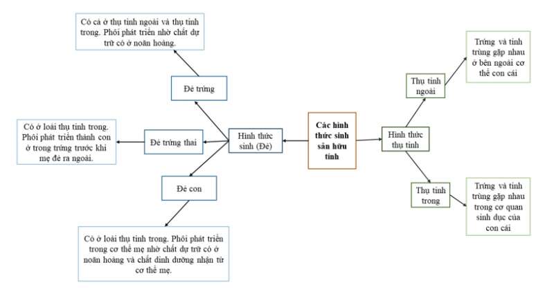 Sinh học 11 (Cánh diều) Bài 22 : Sinh sản ở động vật (ảnh 4)