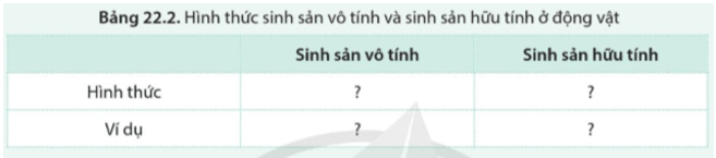 Sinh học 11 (Cánh diều) Bài 22 : Sinh sản ở động vật (ảnh 5)