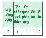 Sinh học 11 (Chân trời sáng tạo) Bài 15: Cảm ứng ở thực vật (ảnh 1)