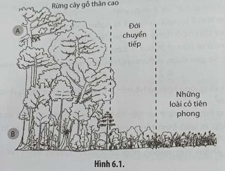 SBT Sinh học 11 (Chân trời sáng tạo) Bài 6 : Hô hấp ở thực vật (ảnh 3)