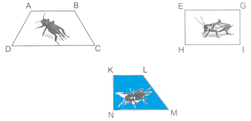 Bài 8: Góc nhọn, góc tù, góc bẹt Vở bài tập lớp 4 (Kết nối tri thức) (ảnh 14)