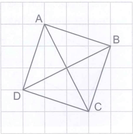 Bài 29: Hai đường thẳng song song Vở bài tập lớp 4 (Kết nối tri thức) (ảnh 3)