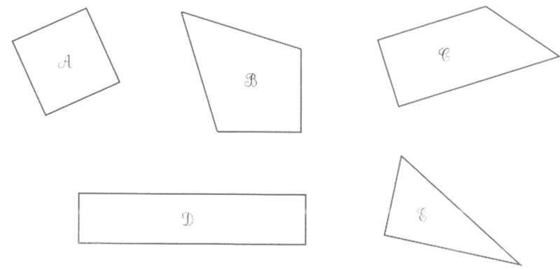 Bài 29: Hai đường thẳng song song Vở bài tập lớp 4 (Kết nối tri thức) (ảnh 8)